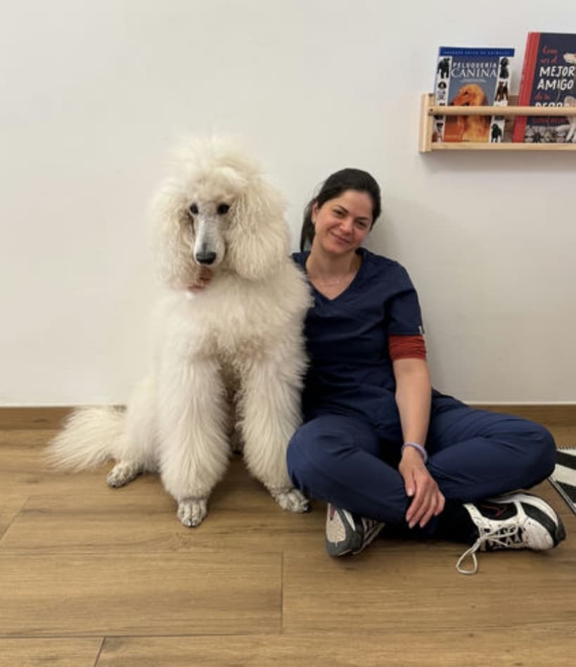 Claudia Veterinarios Santa Coloma de Gramenet, 4 reseñas Claudia Veterinarios Santa Coloma de Gramenet, 4 reseñas